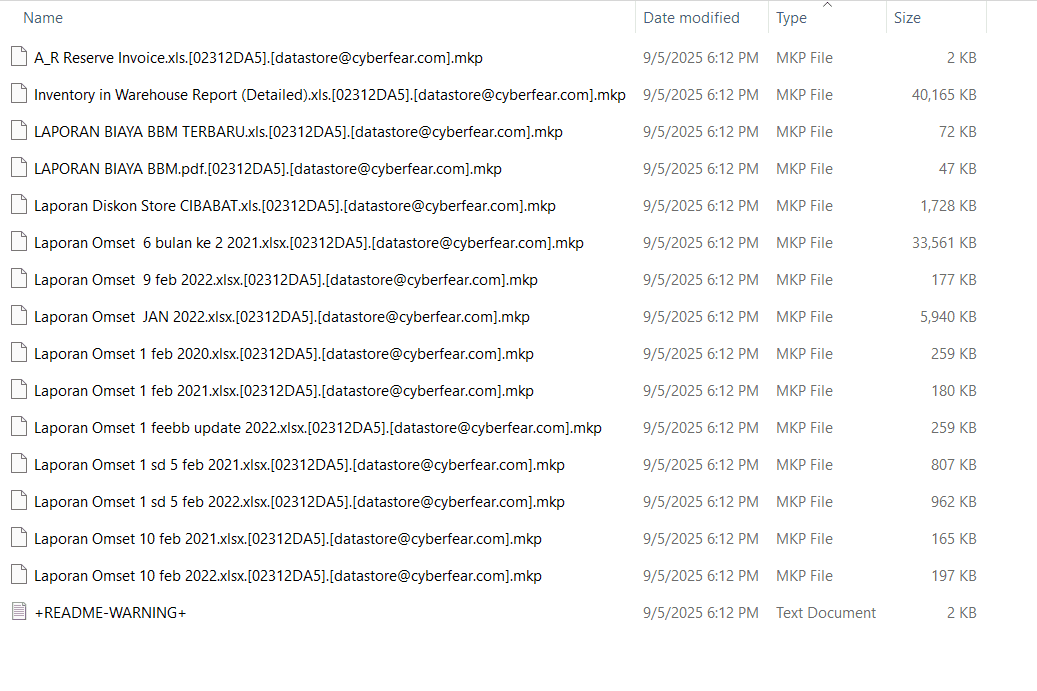 Services Recovery Ransomware MKP